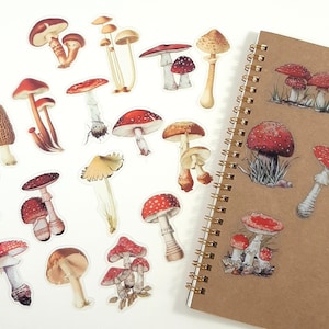 Stickers champignons, autocollants champignon vénéneux, carnet d'automne et agenda déco, autocollants nature scrapbooking, fée des bois, champignon vénéneux, autocollants créatifs