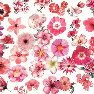 Stickers fleurs roses, Sticker fleur rose, Stickers fleurs sauvages, déco florale de journal et agenda, Stickers album fleurs roses