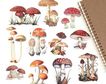 Mushroom Sticker Set, Large Toadstool Stickers for Journals, Planners & Scrapbooking