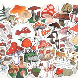 Stickers champignons, champignons vénéneux, autocollants pour carnet de la nature et agenda, décoration pour ordinateur portable, autocollants créatifs