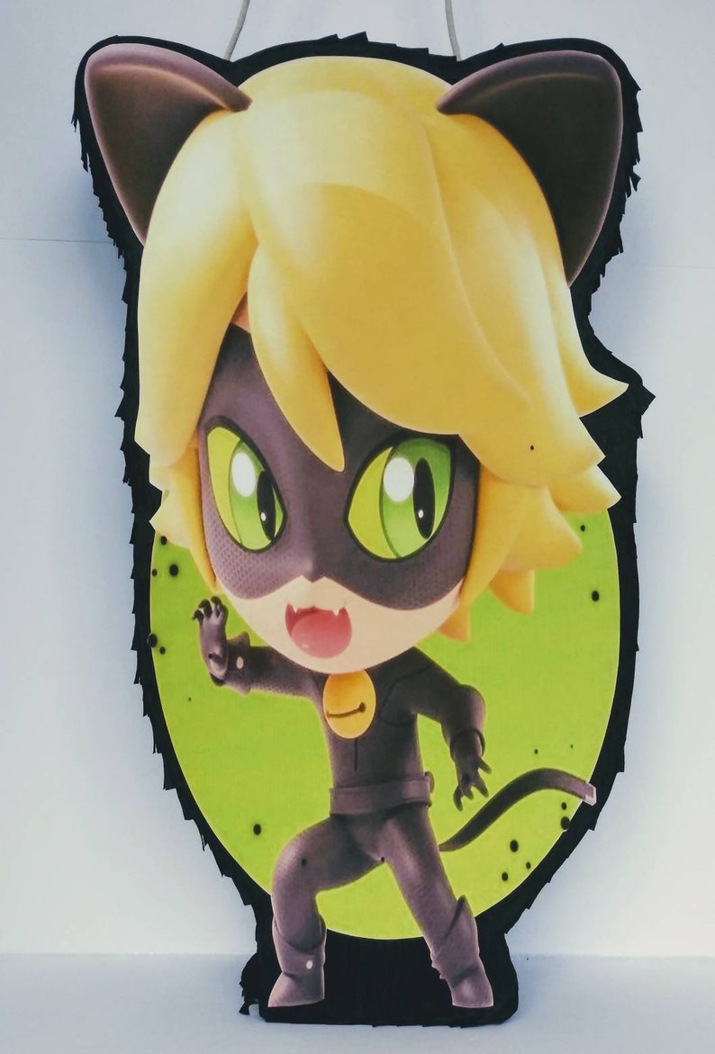 Cat noir Pinata 24x14 Ladybug Party Theme Etsy