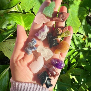 Mini-animaux en cristal sculptés à la main les plus mignons - chien, dauphin, pingouin, lézard, t-rex, escargot, lapin, scarabée et hippopotame - animal totem avec carte