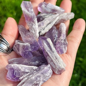 May include: A collection of amethyst crystal points, with a purple and white colour, in a hand. The crystals are raw and have a natural, rough texture.