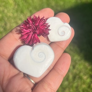 Gorgeous Shiva Shell hearts / Shiva’s eye / Gomti chakra / Pacific cat’s eye crystal hearts / Small & large hearts / Shiva shell fossils