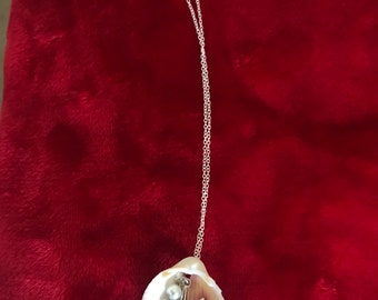 Shell and Starfish