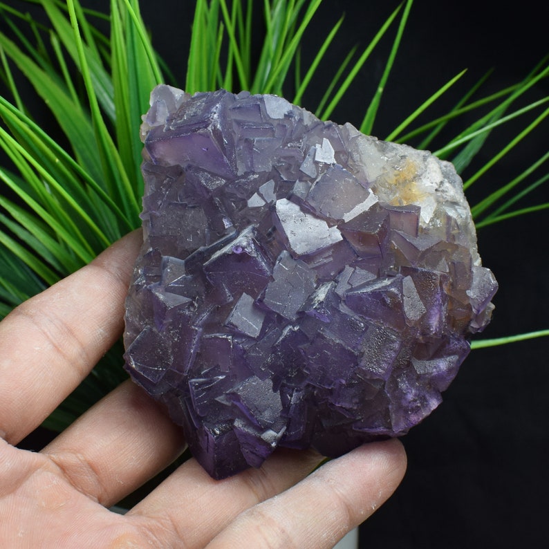 485g Natural Amethyst Purple Fluorite Cluster,Fluorite Cube,Fluorite Rock Stone,Cubic Fluorite On Rock,Mineral Specimens C663