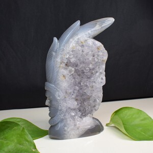5.51 &quot;de altura Ágata gris Cornalina Cráneo de cristal de cuarzo, Cráneo del jefe indio, Piedra de meditación del altar, Talla de geoda de amatista de ágata C572