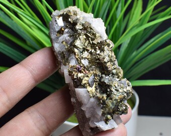 Raw Natural Golden Chalcopyrite Calcite Crystal Cluster,Copper Ore,Chalcopyrite On Rock,Copper Cluster,Chalcopyrite Calcite intergrowth C673