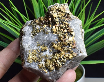 Raw Natural Golden Chalcopyrite Calcite Crystal Cluster,Copper Ore,Chalcopyrite On Rock,Copper Cluster,Chalcopyrite Calcite intergrowth C674