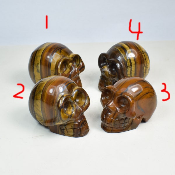 Tiger Eye Skull Etsy