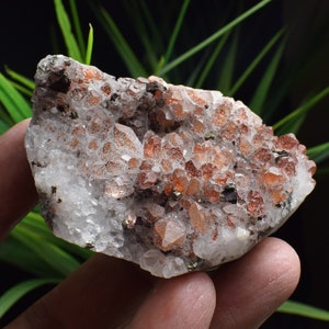 Calcite di calcopirite con cluster di cristallo rosso, minerale di rame, calcopirite su roccia, cluster di rame, intercrescita di calcite calcopirite B1624
