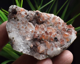 Chalcopyrite Calcite with red Crystal Cluster,Copper Ore,Chalcopyrite On Rock,Copper Cluster,Chalcopyrite Calcite intergrowth B1624