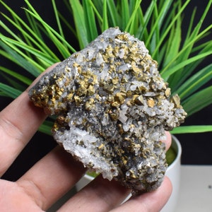 Raw Natural Golden Chalcopyrite Calcite Crystal Cluster, minerale di rame, calcopirite su roccia, cluster di rame, calcopirite calcite intergrowth C672