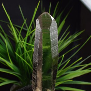 Natural Lemurian Seed,Clear Quartz Crystal,Healing Crystal,Anniversary Gift,Lemurian Crystal Point B922