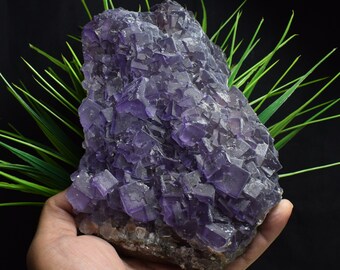 1195g Großer natürlicher Amethyst Lila Fluorit Cluster,Fluorit Würfel,Fluorit Stein,Fluorit Stein,Kubisch Fluorit auf Felsen,Mineralproben C658