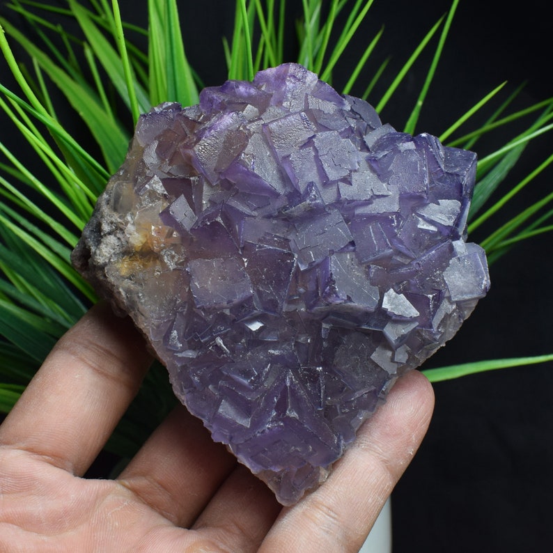 485g Natural Amethyst Purple Fluorite Cluster,Fluorite Cube,Fluorite Rock Stone,Cubic Fluorite On Rock,Mineral Specimens C663