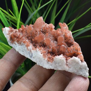 Calcite di calcopirite con ammasso di cristallo rosso, minerale di rame, calcopirite su roccia, ammasso di rame, intercrescita di calcite calcopirite B1628
