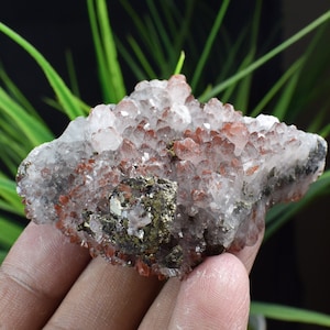 Calcite di calcopirite con ammasso di cristallo rosso, minerale di rame, calcopirite su roccia, cluster di rame, intercrescita di calcite calcopirite B1627