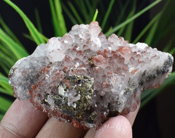 Chalcopyrite Calcite with red Crystal Cluster,Copper Ore,Chalcopyrite On Rock,Copper Cluster,Chalcopyrite Calcite intergrowth B1627