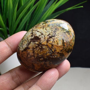 May include: A smooth, oval-shaped, polished stone with a brown, green, and white marbled pattern.