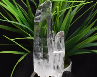 121g Natural Lemurian Seed,Clear Quartz Crystal,Healing Crystal,Anniversary Gift,Lemurian Crystal Point B642