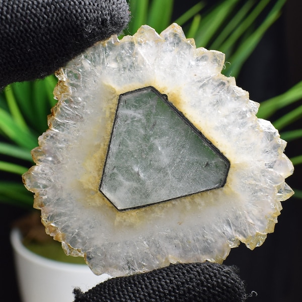 Natural Trapiche Quartz CRYSTAL Slice Cabochon Pendant Gemstone Specimens B304