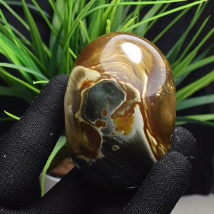 223g Ocean Jasper Jade Palm Stone,Rock Collection Specimen,Altar Meditation Stone,Birthday Gift H209