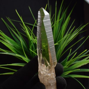 Natural Lemurian Seed,Clear Quartz Crystal,Healing Crystal,Anniversary Gift,Lemurian Crystal Point B924