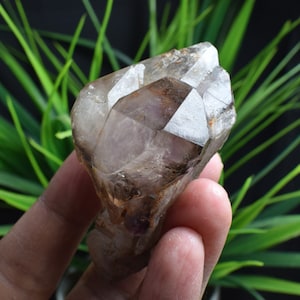101g Nero Fumo Di Ametista Scheletrico Scheletrico Cristallo di Quarzo, Inclusione Crystal Point S827