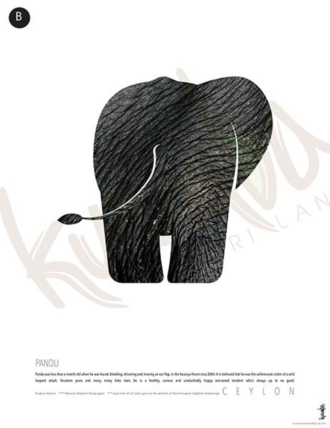Elephant Dung papers Prints Posters & Pack of six Folded Etsy