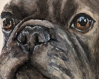 Custom Watercolour Pet Portraits