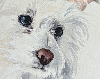 Watercolor Pet Portrait / Watercolour portrait / pet memorial / custom dog painting