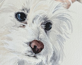 Custom Watercolor Pet Portrait: Hand-Painted Pet Memorial (8x10)