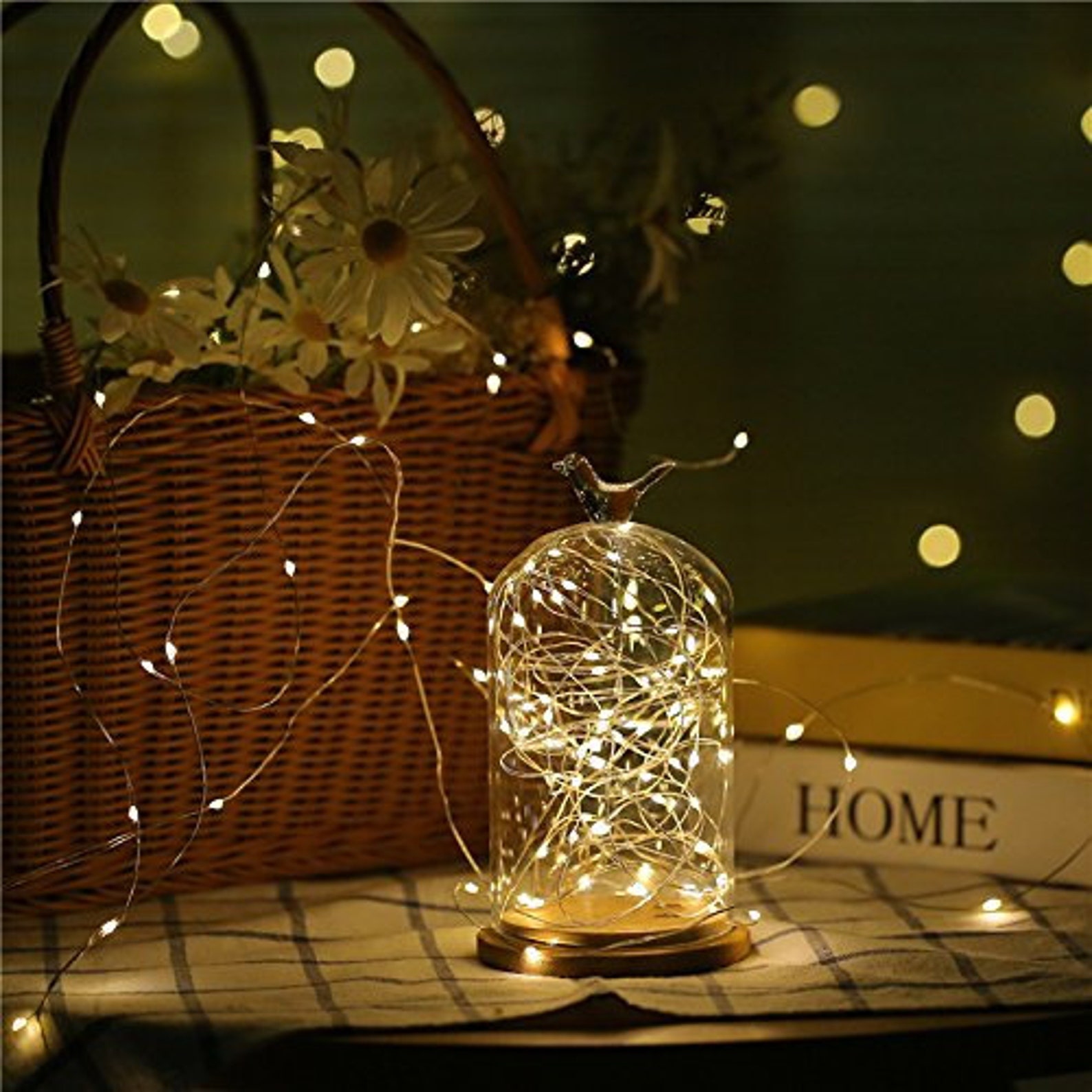 Battery Operated Warm White 50 LED Clear Fairy Lights String Etsy