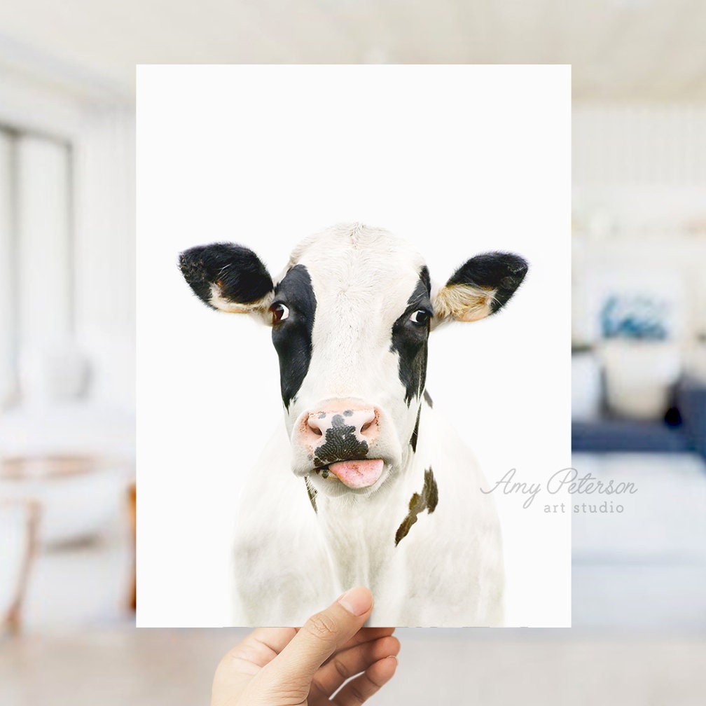 Holstein Cow Blep Print Dairy Cow Wall Art Cow Art Print Etsy