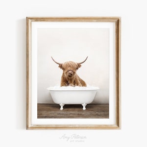 Highland Cow in a Vintage Bathtub, Rustic Bath Style, Cow in Tub, Bathroom Wall Art, Unframed Print, Animal Art by Amy Peterson