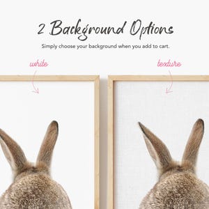 Bunny Art Prints Set: Front & Back, Woodland Nursery Decor, Nursery Art Print Set of 2, Unframed image 3