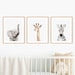 Safari Print Baby Animal Wall Art, Safari Nursery Decor, Safari Animal Art, Elephant Zebra and Giraffe Nursery Art Set of 3 by Amy Peterson 