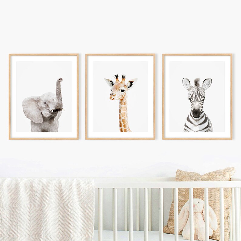 Safari Print Baby Animal Wall Art, Safari Nursery Decor, Safari Animal Art, Elephant Zebra and Giraffe Nursery Art Set of 3 by Amy Peterson 