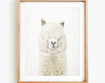 Alpaca Art Print, Alpaca Portrait, Alpaca Wall Art, Animal Art by Amy Peterson