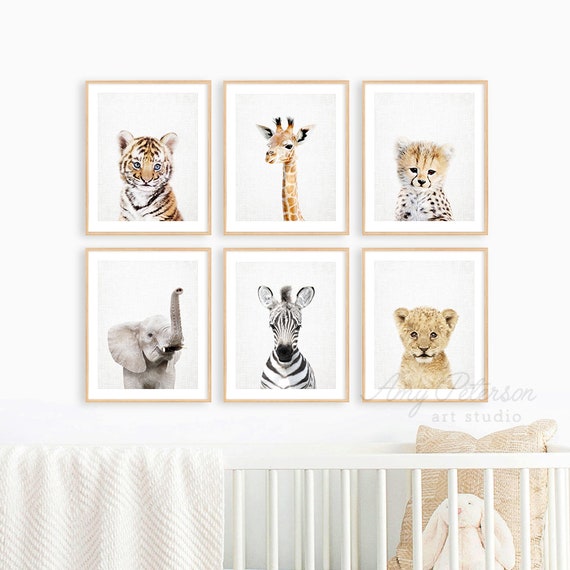 Set of 6 Baby Safari Animals for Nursery Animal Wall Art - Etsy Set of 6 Baby Safari Animals for Nursery Animal Wall Art - Etsy