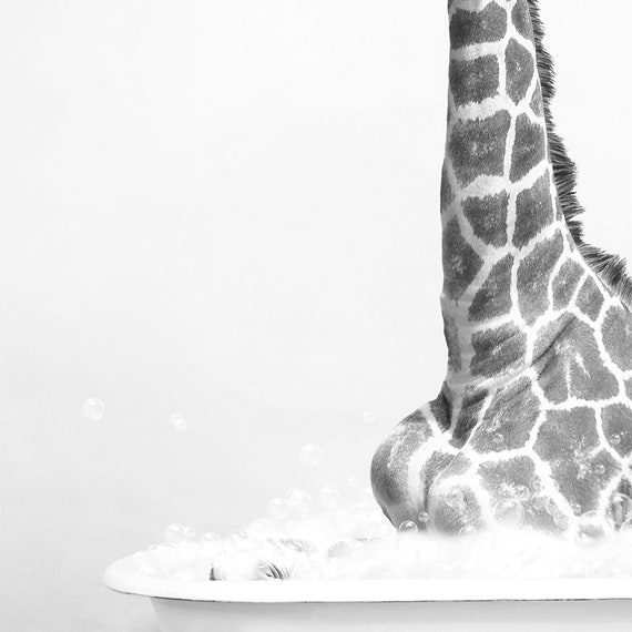 giraffe art black and white