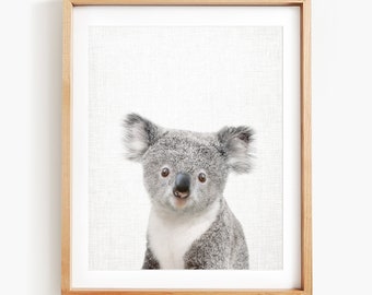 Sweet Koala Art, Australian Woodland Animal Art by Amy Peterson