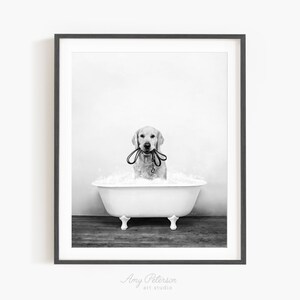 Golden Retriever in a Vintage Bathtub, Dog Taking Bath, Dog Art, Bathroom Wall Art, Unframed Print, Animal Art by Amy Peterson