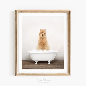 Alpaca in a Vintage Bathtub, Rustic Bath Style, Alpaca in Tub, Bathroom Wall Art, Unframed Print, Animal Art by Amy Peterson