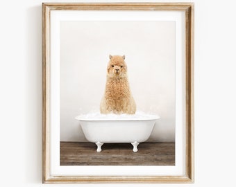 Alpaca in a Vintage Bathtub, Rustic Bath Style, Alpaca in Tub, Bathroom Wall Art, Unframed Print, Animal Art by Amy Peterson
