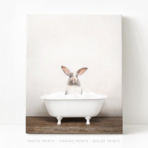 Bunny in a Vintage Bathtub, Rustic Bath Style, Bunny in Tub, Bathroom Wall Art, Unframed Print, Animal Art by Amy Peterson