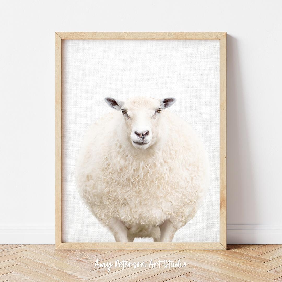 Sheep Photo Print, Farm Animal Wall Art, Sheep Portrait, Sheep Wall Art ...