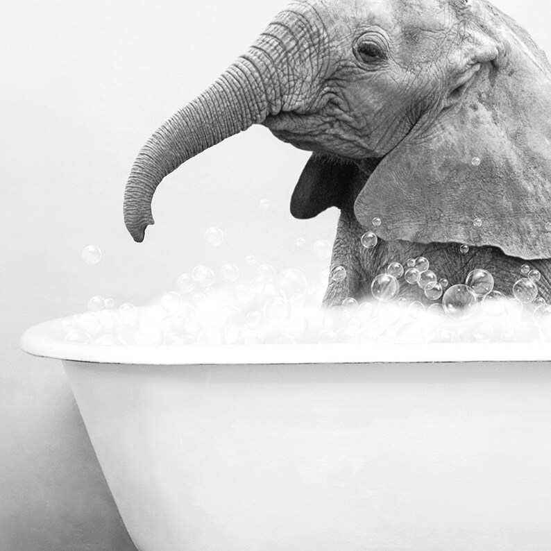 Baby Elephant in a Vintage Bathtub Rustic Bath Style in Black Etsy