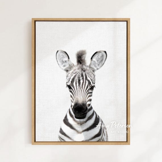 Baby Zebra Print: Safari Animal Nursery Decor by Amy Peterson